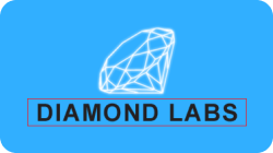 Diamond Labs